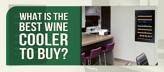 What Is the Best Wine Cooler to Buy?