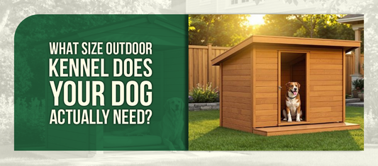 What Size Outdoor Kennel Does Your Dog Actually Need?
