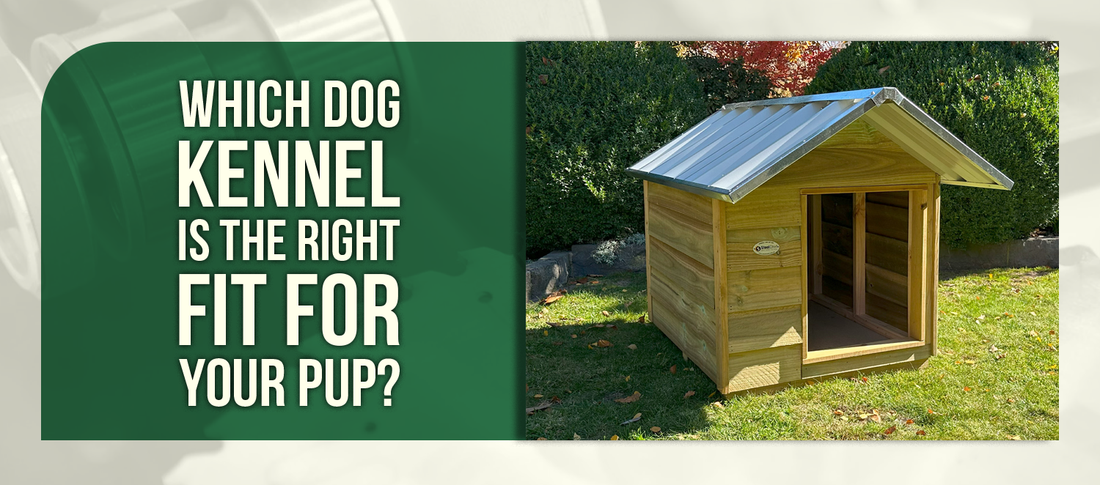 Which Dog Kennel Is the Right Fit for Your Pup?