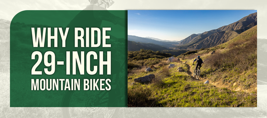 Why Ride 29-Inch Mountain Bikes