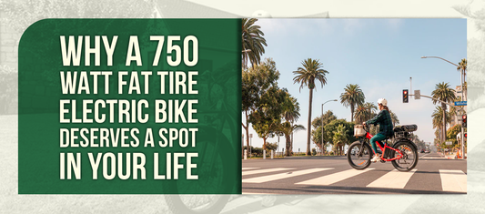 Why a 750 Watt Fat Tire Electric Bike Deserves a Spot in Your Life