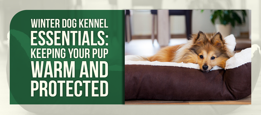 Winter Dog Kennel Essentials: Keeping Your Pup Warm and Protected