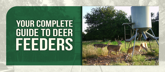 Your Complete Guide to Deer Feeders