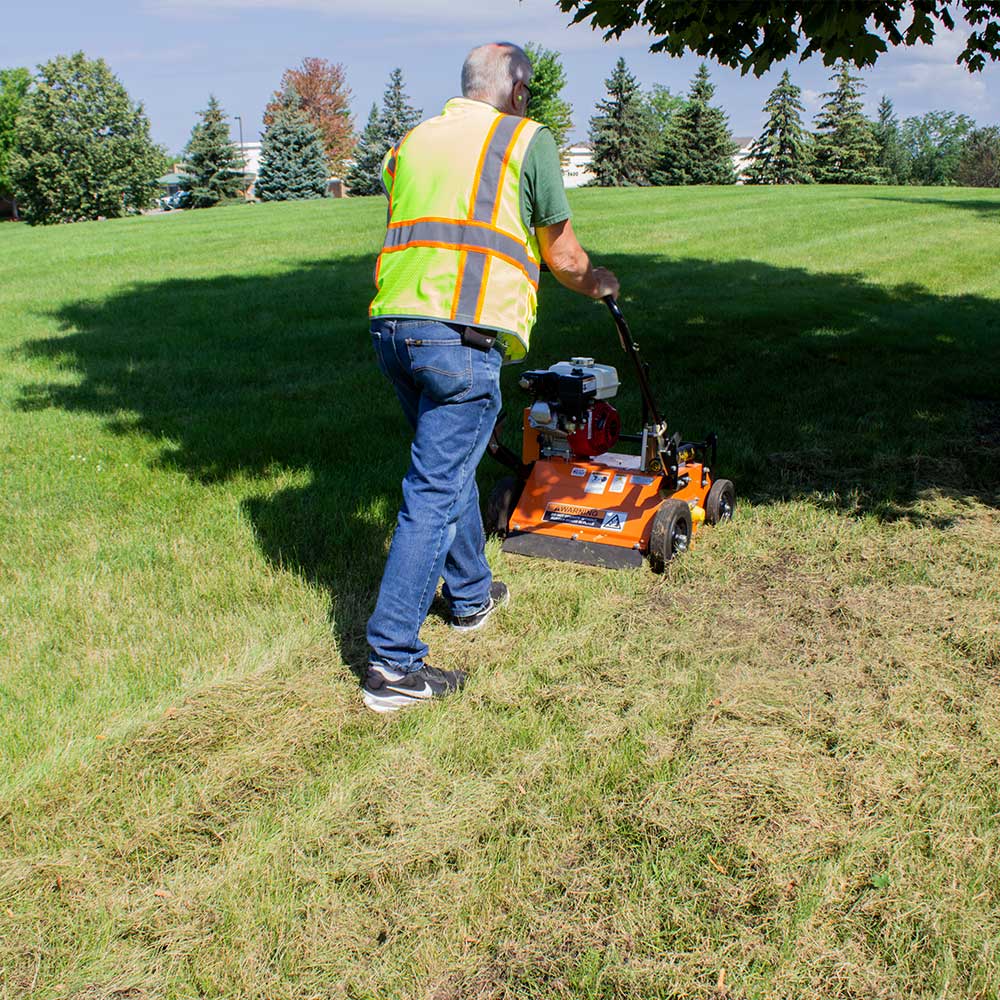 Brave Power Rake Dethatcher 20-In. Width Honda GX160 (BRPPD20H)