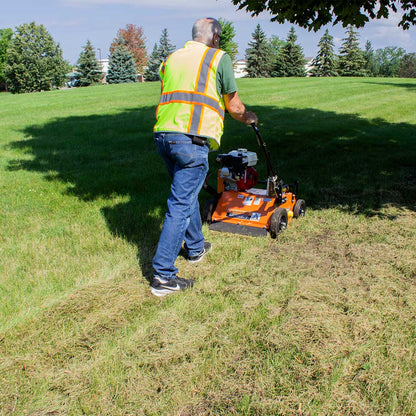 Brave Power Rake Dethatcher 20-In. Width Honda GX160 (BRPPD20H)
