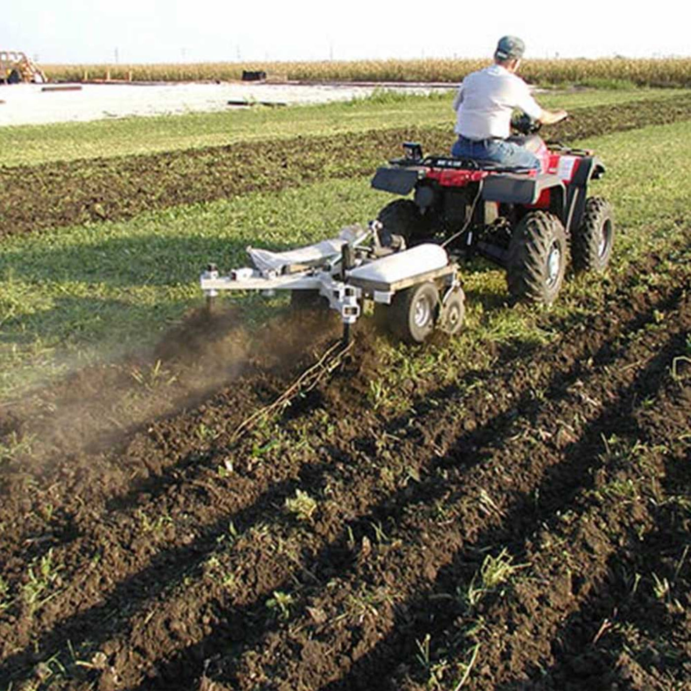 Grey Wolf Till-N-Claw Chisel Plow & Cultivator 43-In. Wide  - (GWG311026)