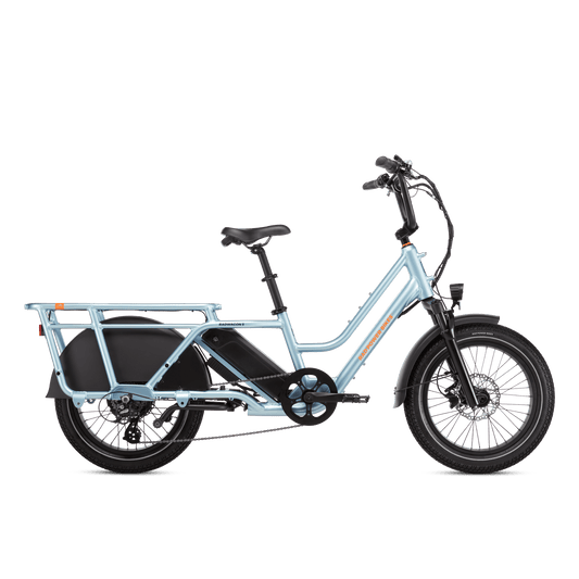 RadWagon™ 5 Electric Cargo Bike - 102-00046