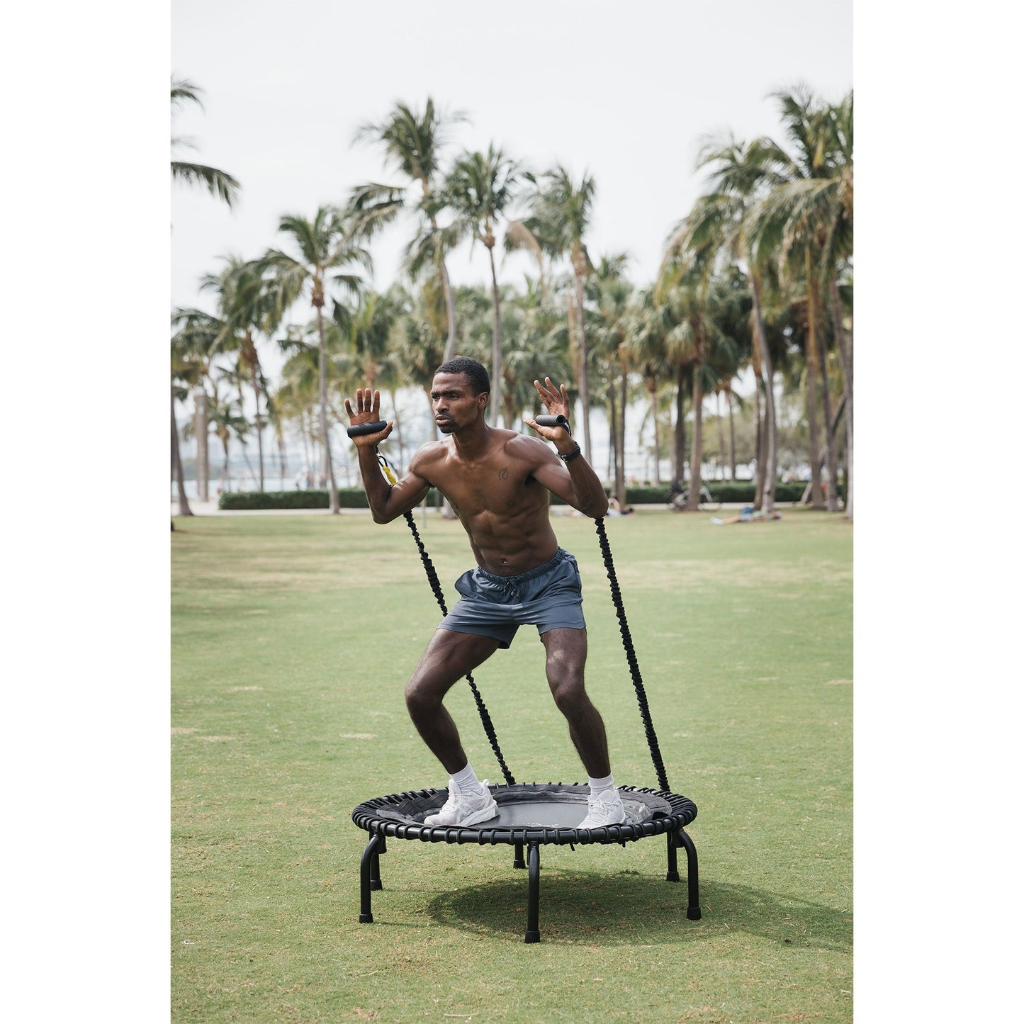 Disc-O-Bed JumpSport 44" ESSENTIAL Fitness Trampoline | Model 430  | 3-piece Frame | Home Series for Adults - 168421
