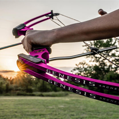 Genesis Archery Compound Bow Adjustable Sizing for Right Handed, Purple (4 Pack) - 323668