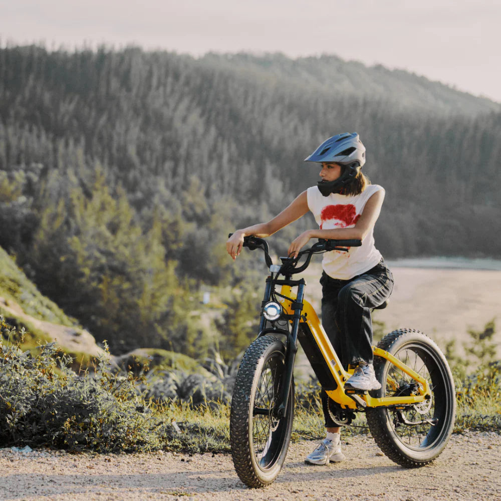 Samson Cycrown Roma ST Electric Bike All-Terrain Step-Through Frame 1500W 28 MPH 90 Mile Range 48V New - ROMA-ST-INDIGO-BLUE