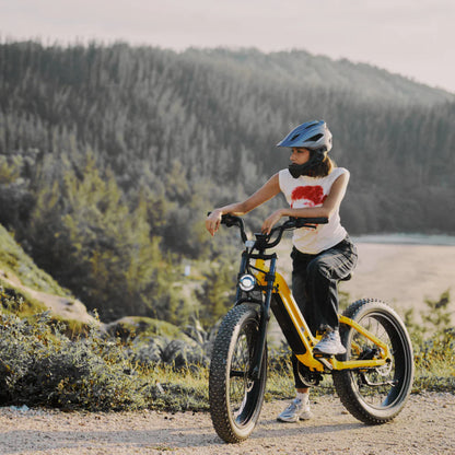 Samson Cycrown Roma ST Electric Bike All-Terrain Step-Through Frame 1500W 28 MPH 90 Mile Range 48V New - ROMA-ST-INDIGO-BLUE