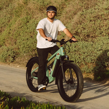 Retrospec Grateful Dead Koa Rev+ 2 Fat Tire Electric Bike - 6479