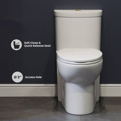 Swiss Madison Sublime One Piece Elongated Toilet Dual Flush, Brushed Gold Hardware 1.1/1.6 gpf - SM-1T205HG
