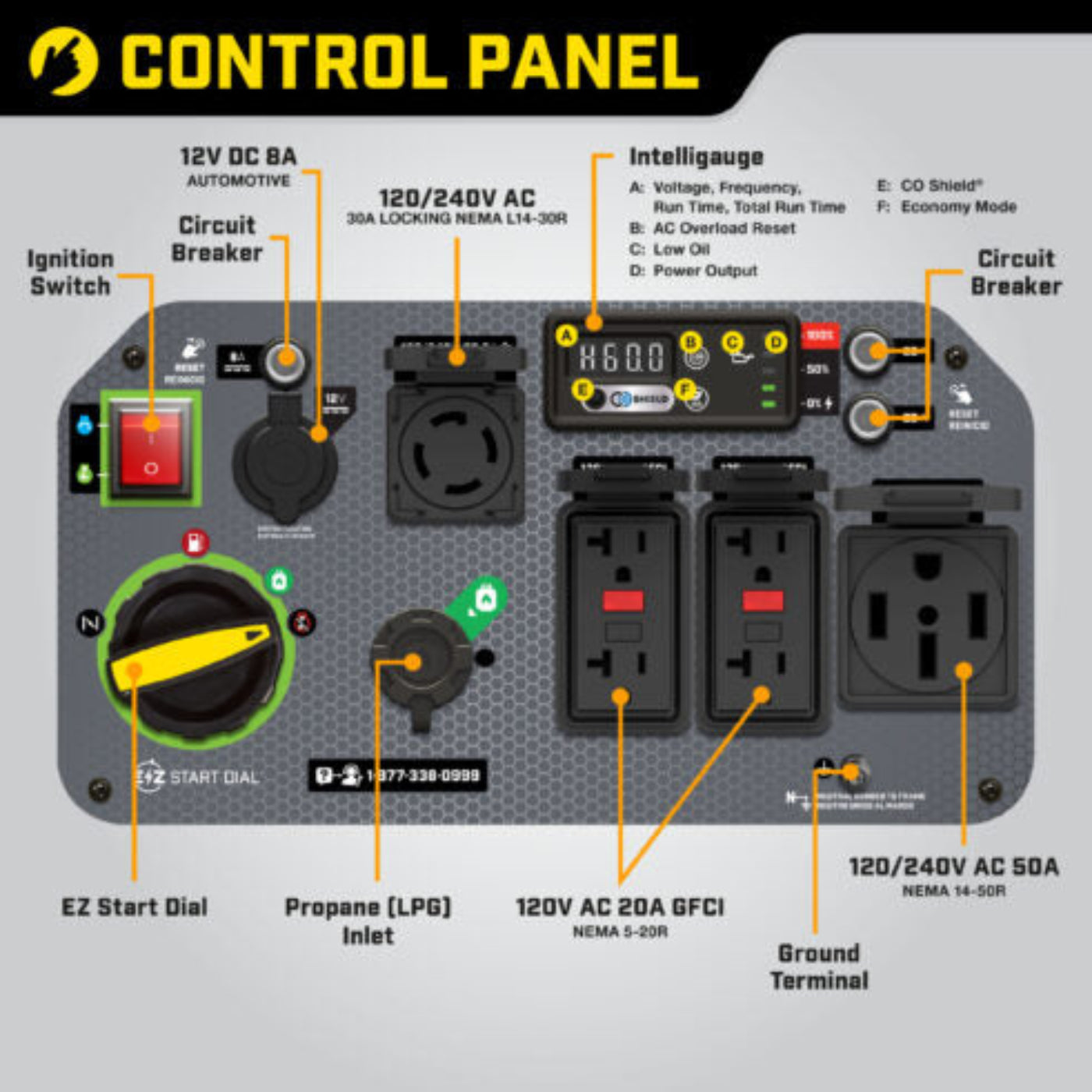 Aurora Generators Champion 201175 8500W Electric Start Dual Fuel Inverter with CO Shield - PowerGen USA - 201175