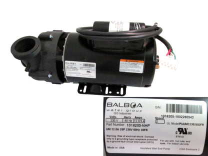 MASTER SPAS Pump, 12a 2sp 230v 56fr - X320528