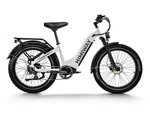 Himiway D5 ST(Zebra ST) / All-terrain Electric Fat Bike - HMW-D5-PW-ST-US-02