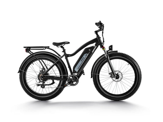 Himiway D3(Cruiser) / Long Range Fat Tire Electric Bike - HIMIWAY-CRUISER-05
