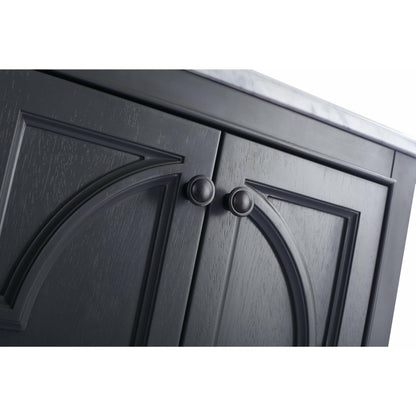 Laviva Odyssey 24" Vanity - 313613-24G