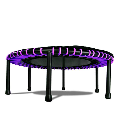 LEAPS & REBOUNDS 48" Adjustable Stability Bar w/ 48" Fitness Trampoline, Purple - 318054