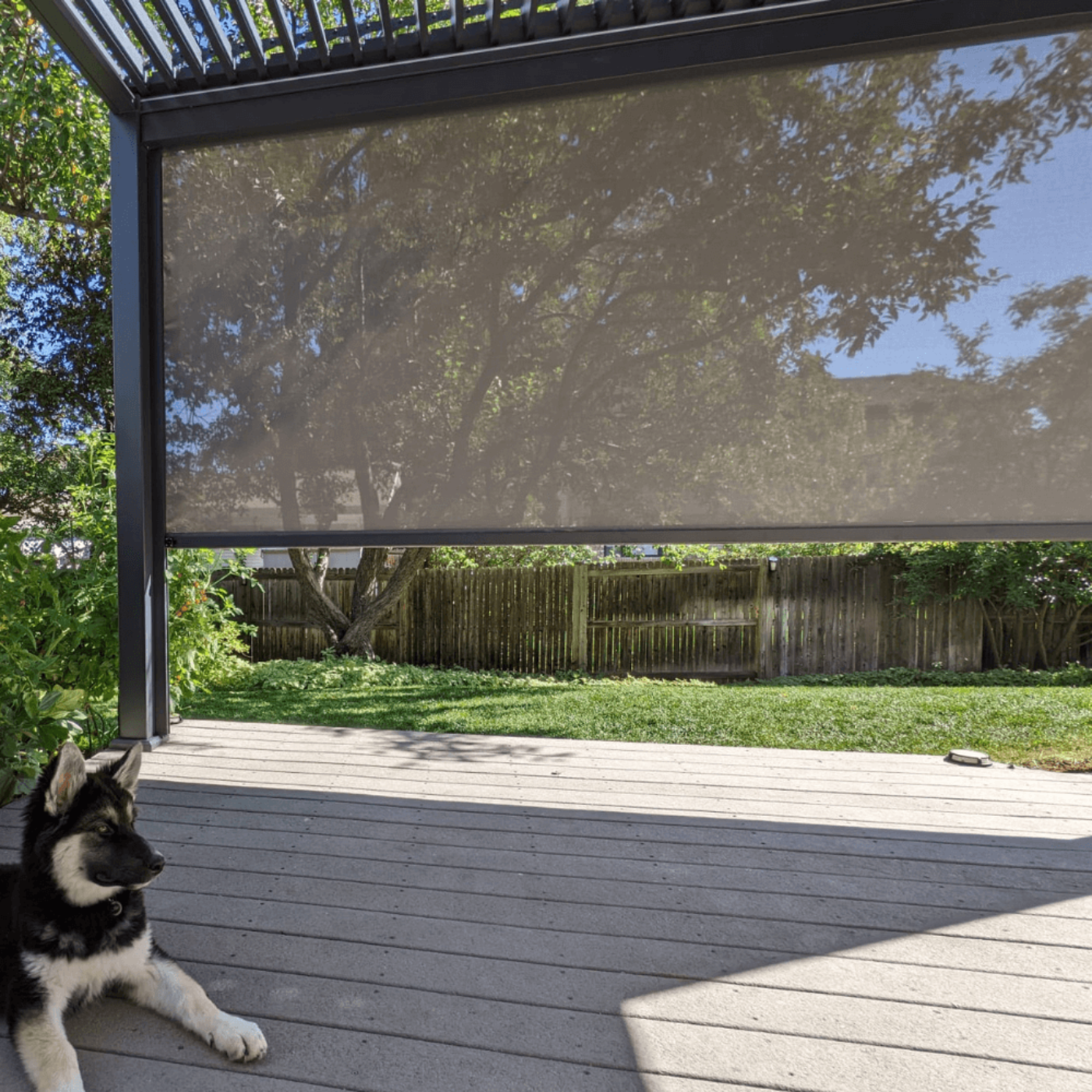 Bon Pergola Wind/Sun Resistant Screen - Grand Retractable Pergola - SCN-M-10x9-BK