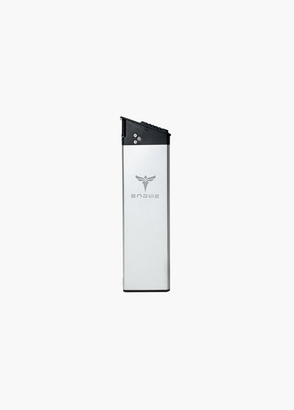 Engwe Battery - ENGINEPRO2.0battery1