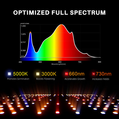 2026 Spider Farmer® 2’x2′ GGS AC5 Power Strip Complete Grow Tent Kits丨SF1000D Full Spectrum Dimmable LED丨4” Ventilation System