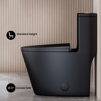 Dreux One Piece Elongated Dual Flush Toilet with 0.95/1.26 GPF in Matte Black