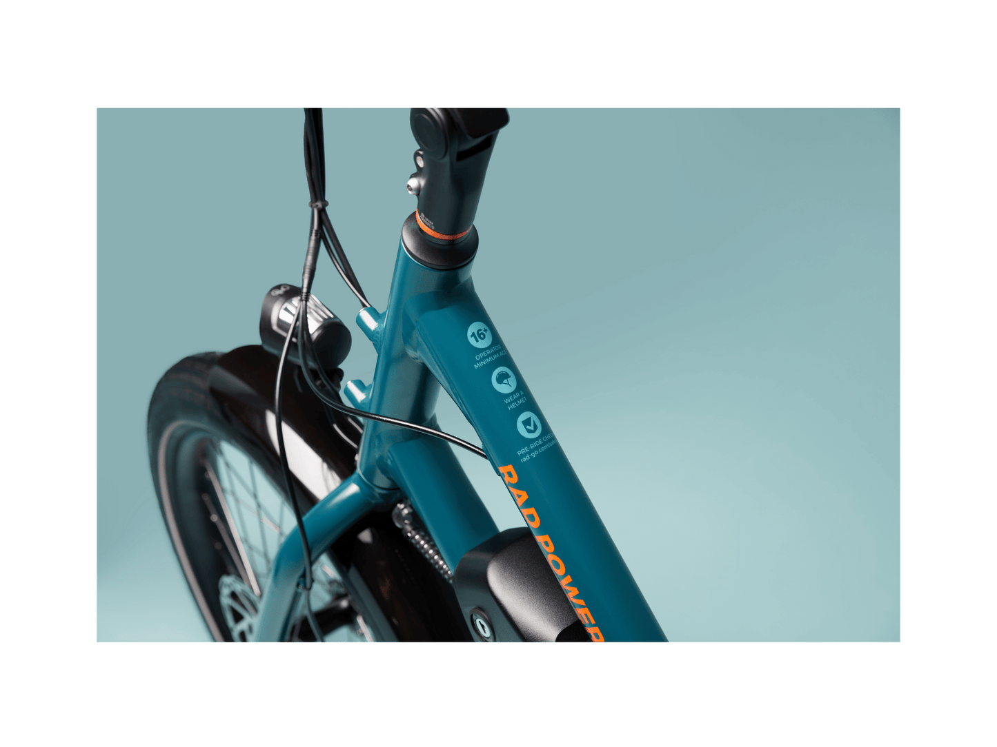 RadWagon™ Electric Cargo Bike - 102-00051