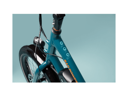 RadWagon™ Electric Cargo Bike - 102-00051