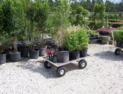 Alumacart Pull Wagon 45in 800 lb capacity Wagon New