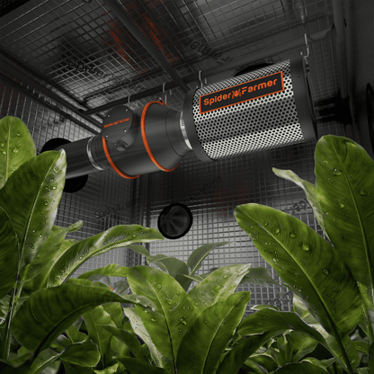 2026 Spider Farmer® 2’x2′ GGS AC5 Power Strip Complete Grow Tent Kits丨SF1000D Full Spectrum Dimmable LED丨4” Ventilation System