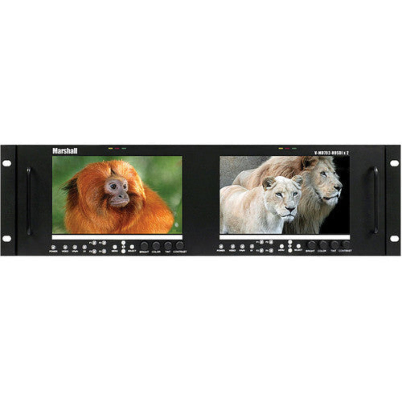 Marshall  Pre-Loaded Monitor with two MD-HDSDIx2-A Modules - V-MD702-HDSDIX2