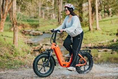 Adam Equipment Young Electric E-Flow 750W Folding eBike | 20'' All-terrain Fat Tire With 48V20Ah BAFANG Battery, Up to 90 Miles, 28 MPH - 12803020DB