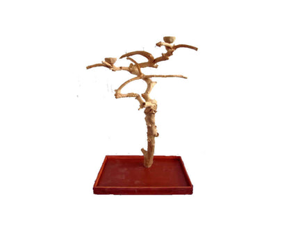 LeMond A&E Medium Java Wood Tree Box - AE250M