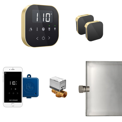 Mr. Steam AirButler Max Steam Generator Control Bundle - ABUTLERXB-BB