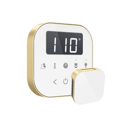 Mr. Steam AirTempo Steam Shower Control - AIRTBK-BB
