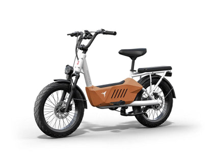 Himiway C3 / Cargo Ebike - HMW-C3-BU-US