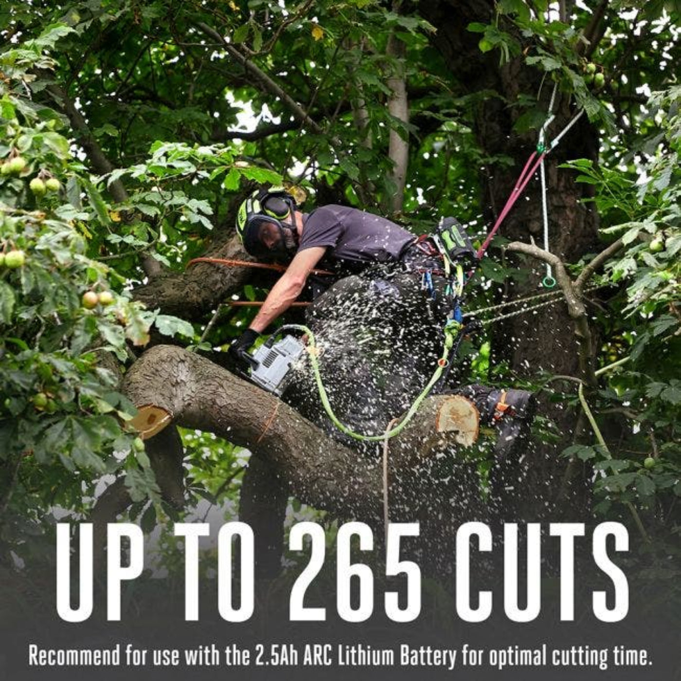 EGO Power+ Commercial Top Handle Chainsaw with Battery Holster, 5Ah Battery and Charger - CSX3003