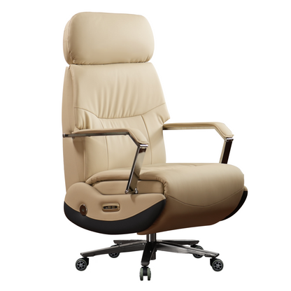 Kinnls Carlo Power Recliner Chair - GF22A023OG09
