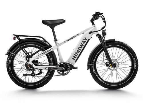 Himiway D5(Zebra) / All-terrain Electric Fat Bike - HMW-D5-PW-SO-US