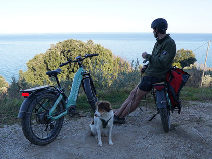 Himiway D5 ST(Zebra ST) / All-terrain Electric Fat Bike - HMW-D5-PW-ST-US-02