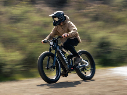 Himiway D7 Pro Mountain eBike - HMW-D7PRO-PG-US