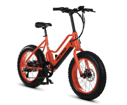 Pedego  Element: 2025 - BK500007BK