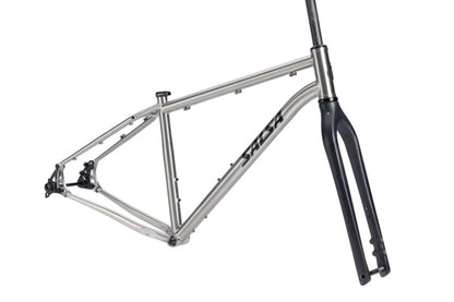 NEW Salsa Fargo Ti Adventure / Bikepacking Frameset - 29", Brushed Titanium - 210000073916