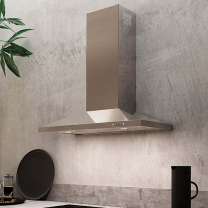 Faber Dama Wall Mount Range Hood with Sizing Options in Stainless Steel - DAMA30SSV