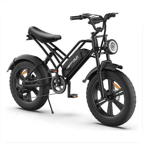 Happyrun Electric Bike Fat Tire Cargo City E-bike -  G50