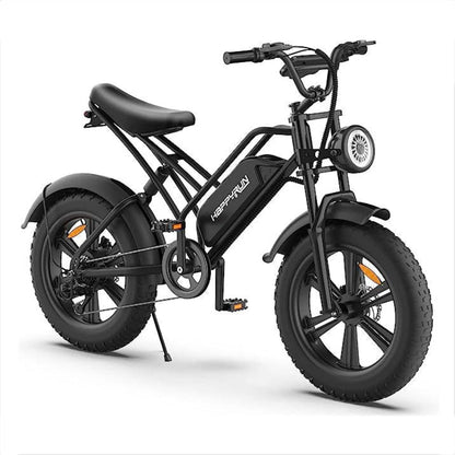 Happyrun Electric Bike Fat Tire Cargo City E-bike -  G50
