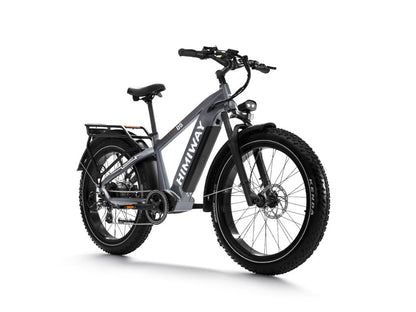 Samson Himiway Zebra D5 Electric Bicycle 48V 750W 20 MPH Torque Sensor 26" Fat Tire New - HMW-D5-GY-SO-US