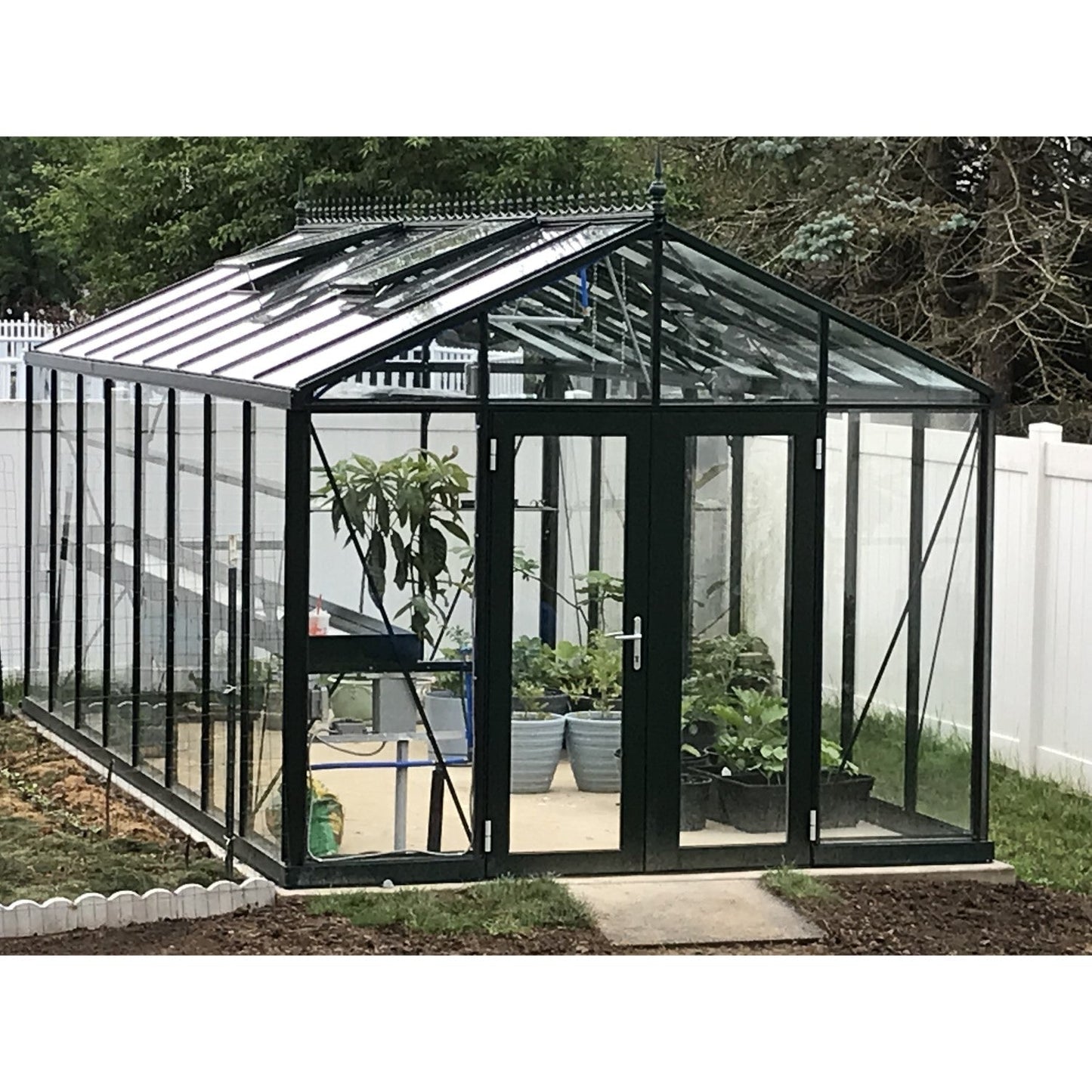 Janssens 10x20x9 ft Royal Victorian Medium Glass Greenhouse Kit With 4mm Tempered Glass Glazing - VI-36-GLASS-BLACK