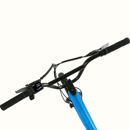 Retrospec Joe Rev 2 BMX Electric Bike - 6731